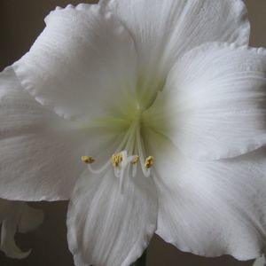 Meet your Posher, Anna maria